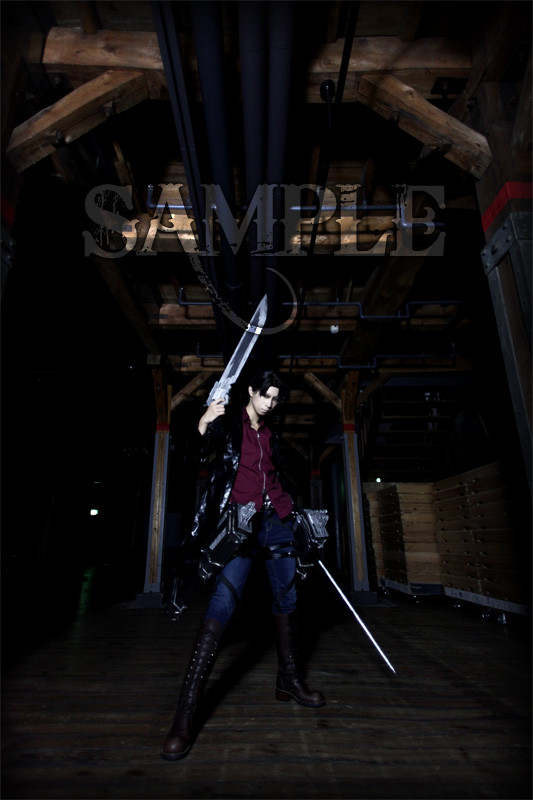 SAMPLE1