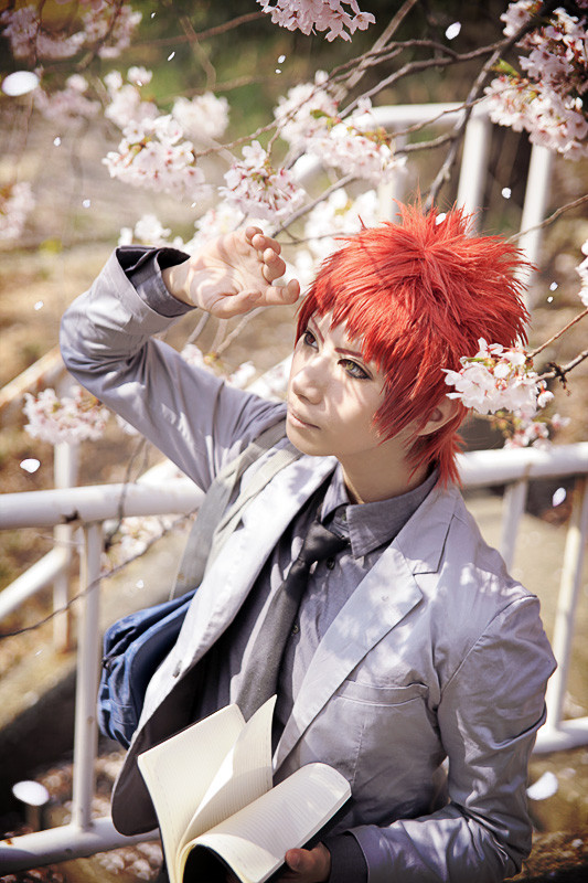 桜