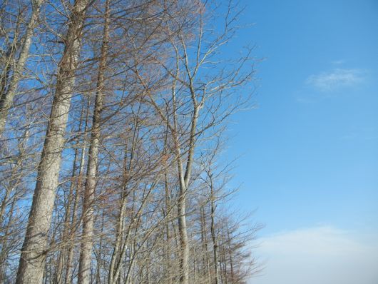 11020502
