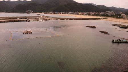image18