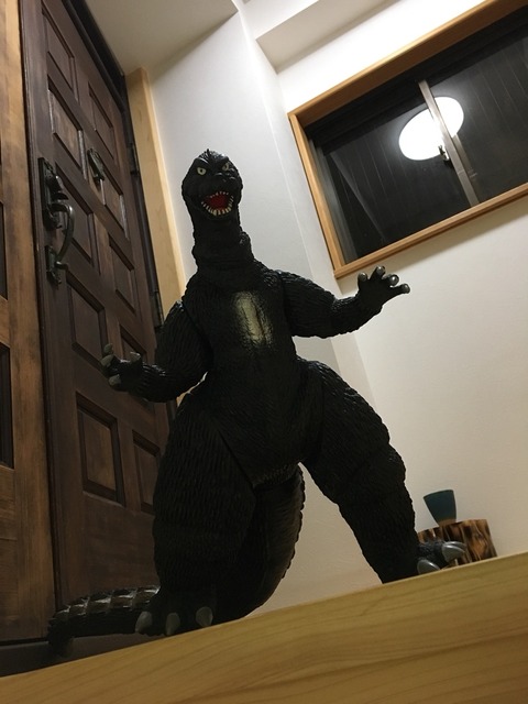 (゚Д゚)とハッとしたらゴジラだった・・・ヒロシ(父)め💢