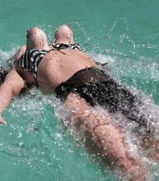 05-03-19a.gif