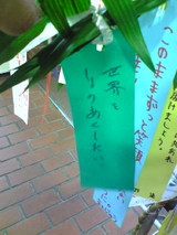 2398c987.jpg