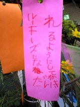 ca0424d8.jpg