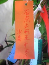 eb1ea708.jpg
