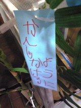 f5935073.jpg
