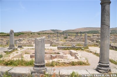 DSC_7019_yonetani