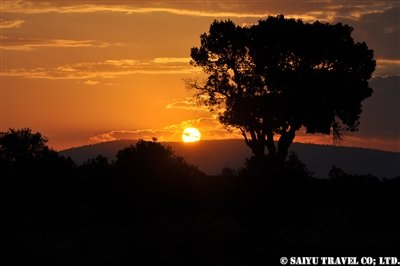 DSC_0380
