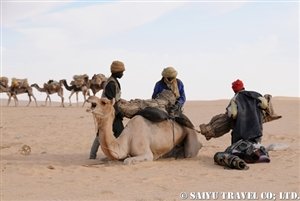 caravan01