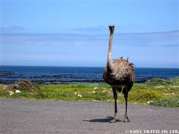米谷個人旅行