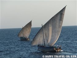 DSCF7027