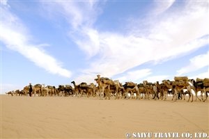 caravan02