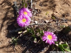 085