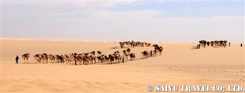 caravan03
