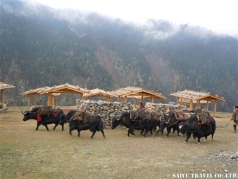burokupa (2)