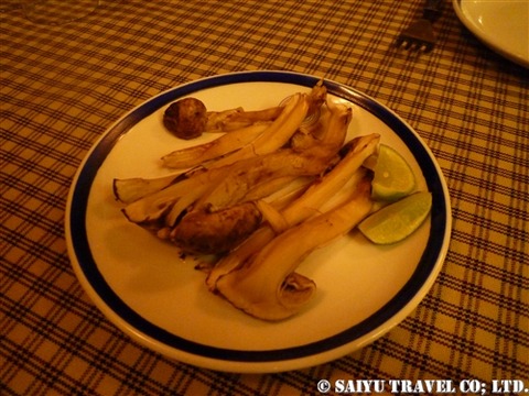 matsutake (1)