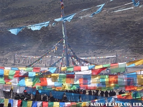 taruboche (1)