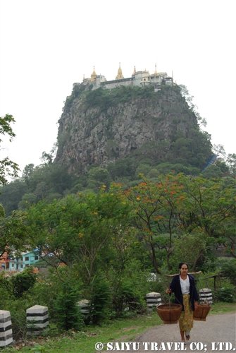popa (2)
