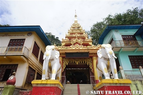 popa (1)