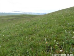 DSCF3062