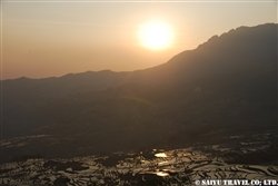 tanada2