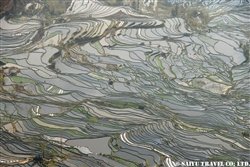 tanada2 (1)