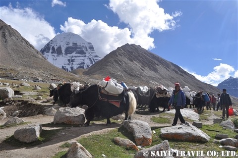 kailas (3)
