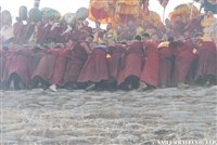 ronwu (5)