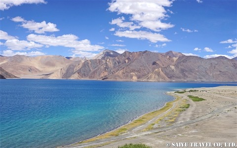 Pangong Tso (6)