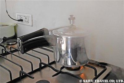 Saiyu residency インド家庭料理 (12)