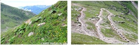 rhotangla02