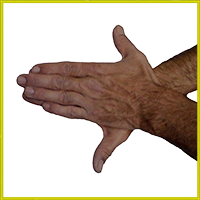 Matsya_Mudra