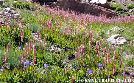 kunzum pass01
