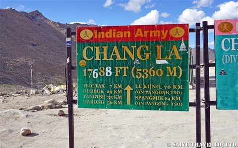 Pangong Tso (9)