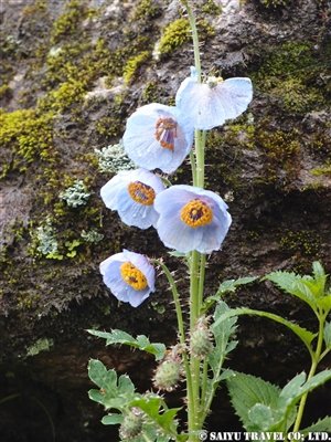 P7173590