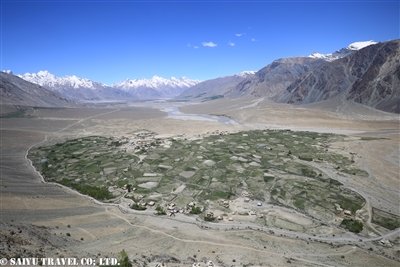 IMG_0603