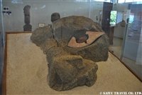 MUSEO_1