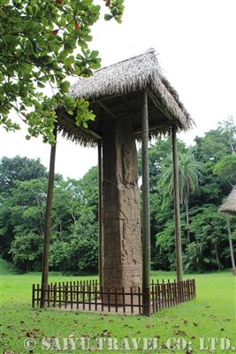 IMG_6050