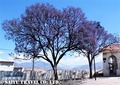 IMG_2453_Recoleta