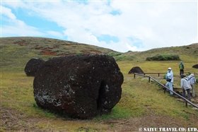 プナパウ (2)