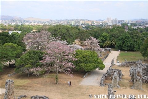 160308 中米7ヶ国 TC高橋 002_takahashi