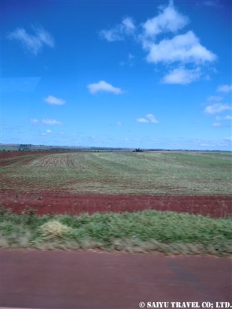 パラグアイ 赤土の大地