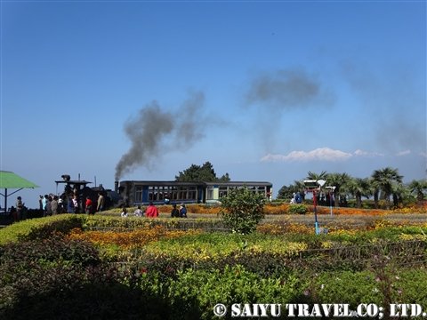 DSC01280_fujimoto