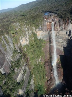 P1245902
