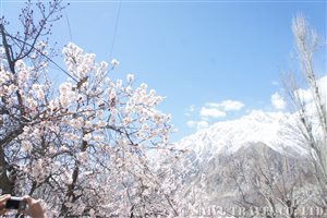 DSC00009_nakazawa