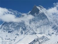 IMG_6161