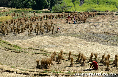 nepal_sw201311_3