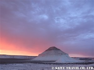 P5131213_hamasuna