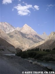 PICT0463