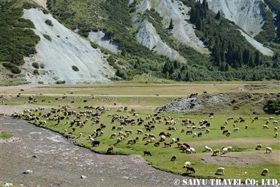 キルギス カルカラ谷 西遊旅行 (1)